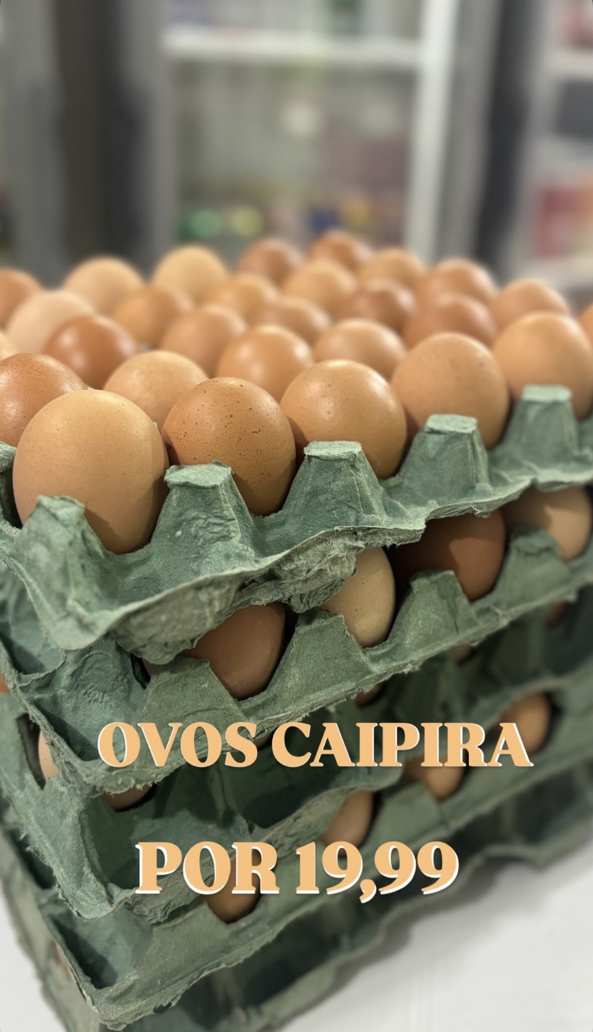 Produtos