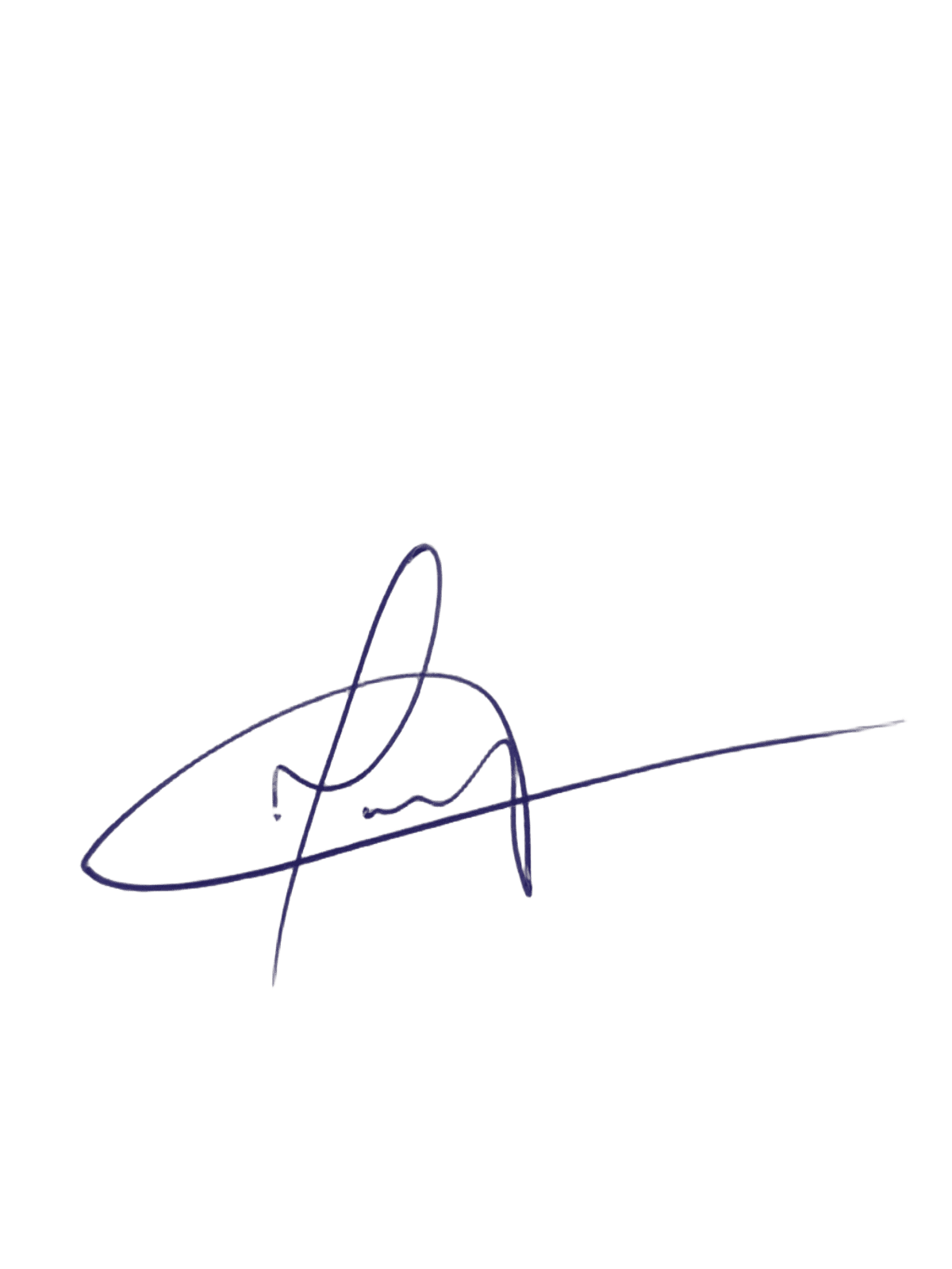 Assinatura Diretoria